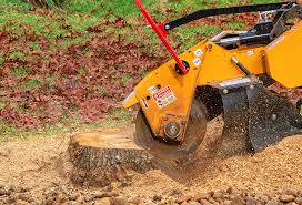 Best Emergency Tree Removal  in Mendota Heights, MN